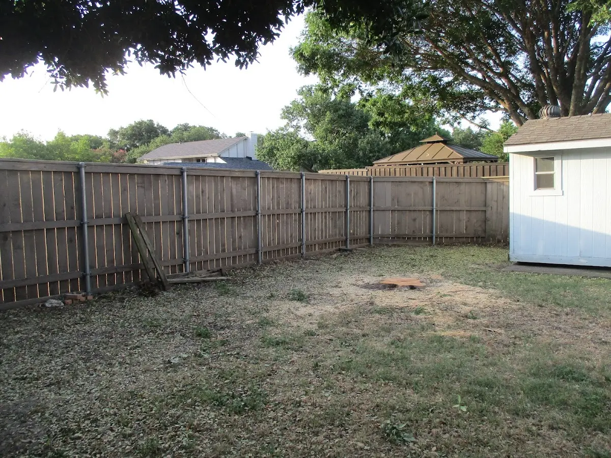 Cleared yard after professional tree removal in Dorrance